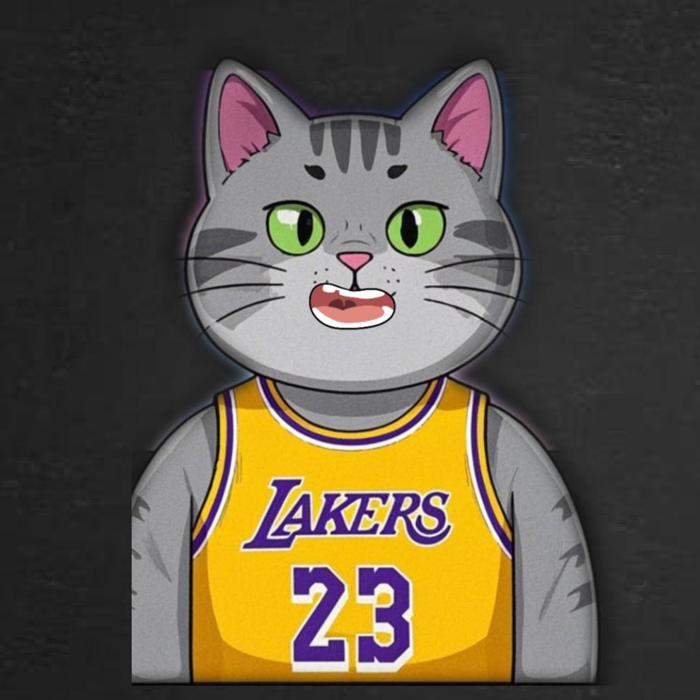 猫篮球