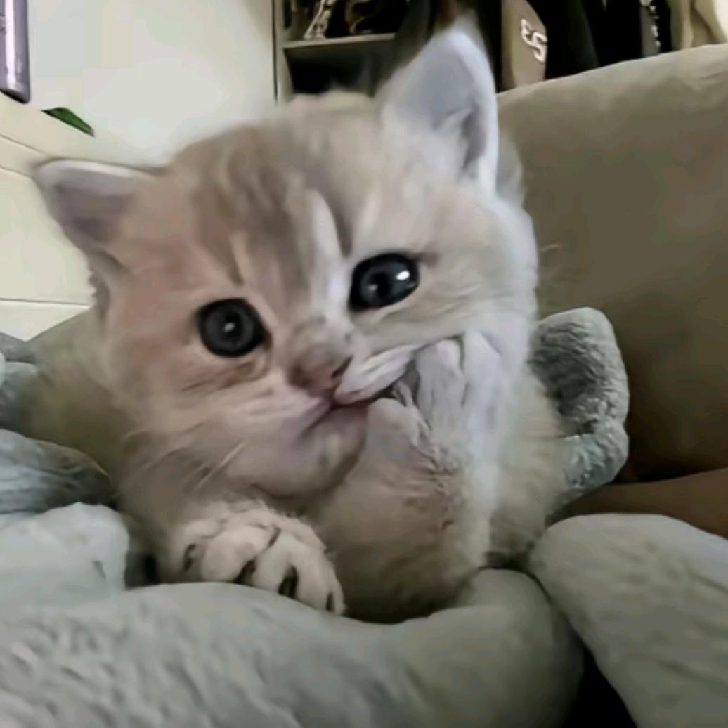 빙빙