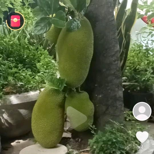 1304409127