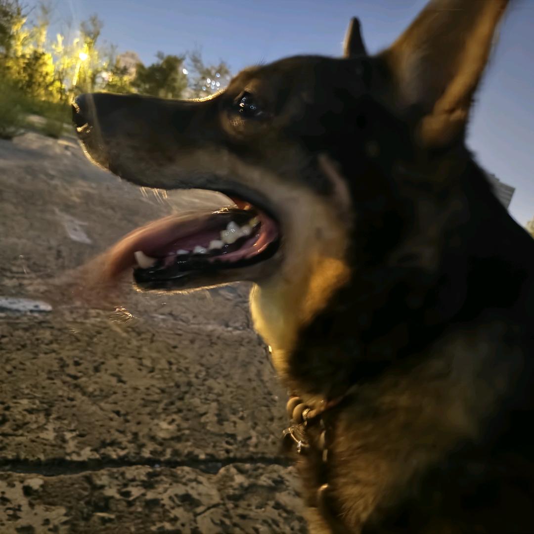 半梦半醒一根烟