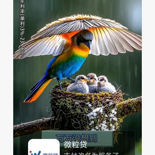 (๐•̆·̭•̆๐)