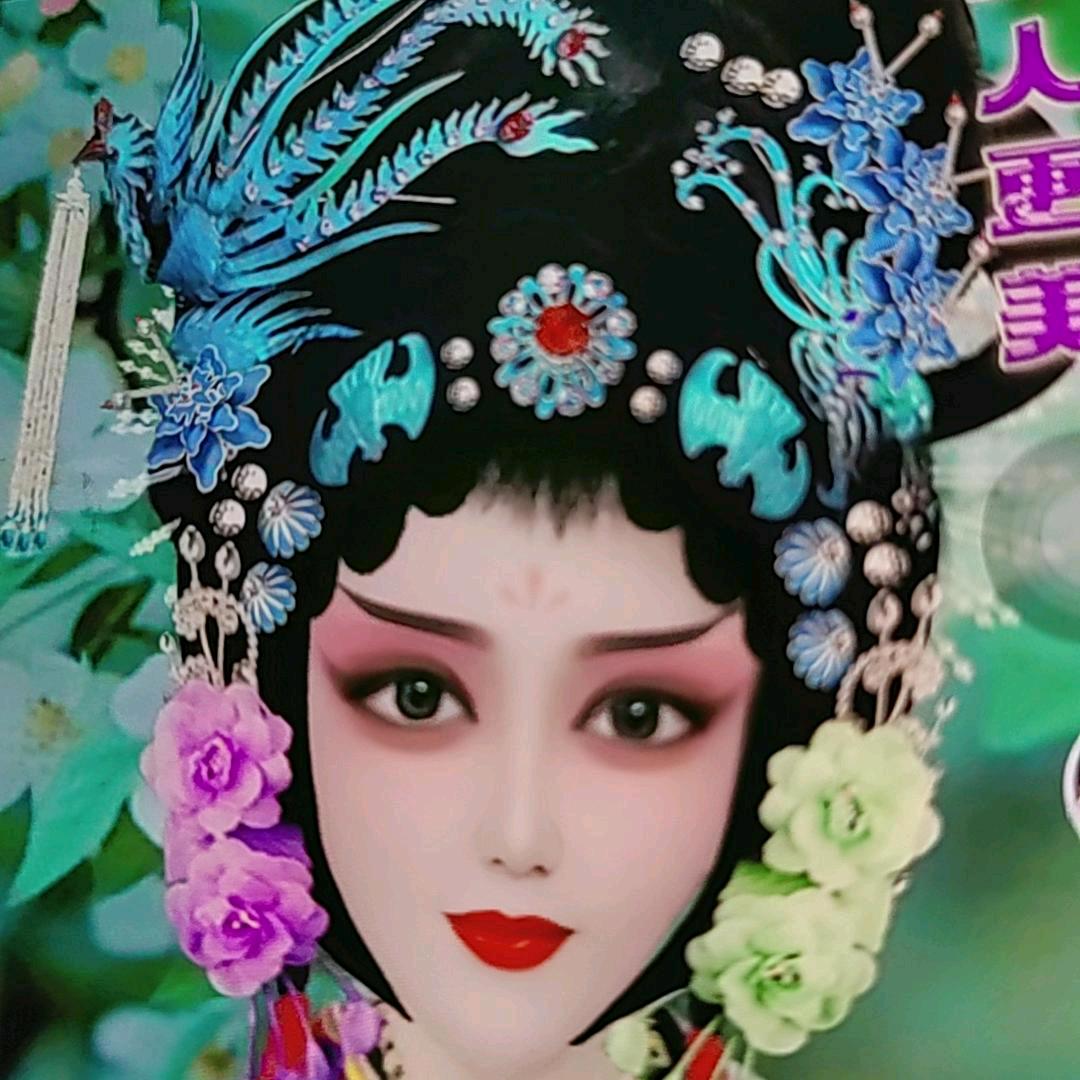 戏曲🔥 河南凤姐🔥