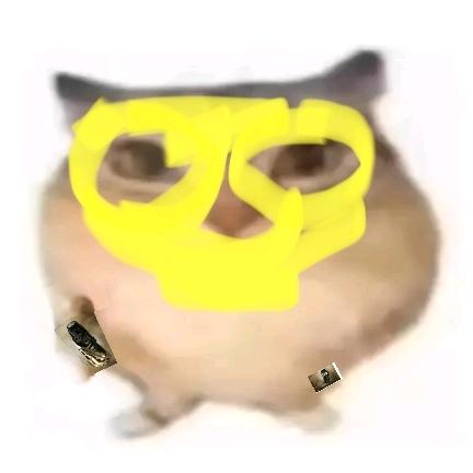 红狼博一