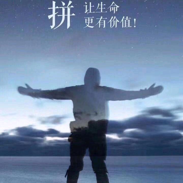 孤勇者（努力版）