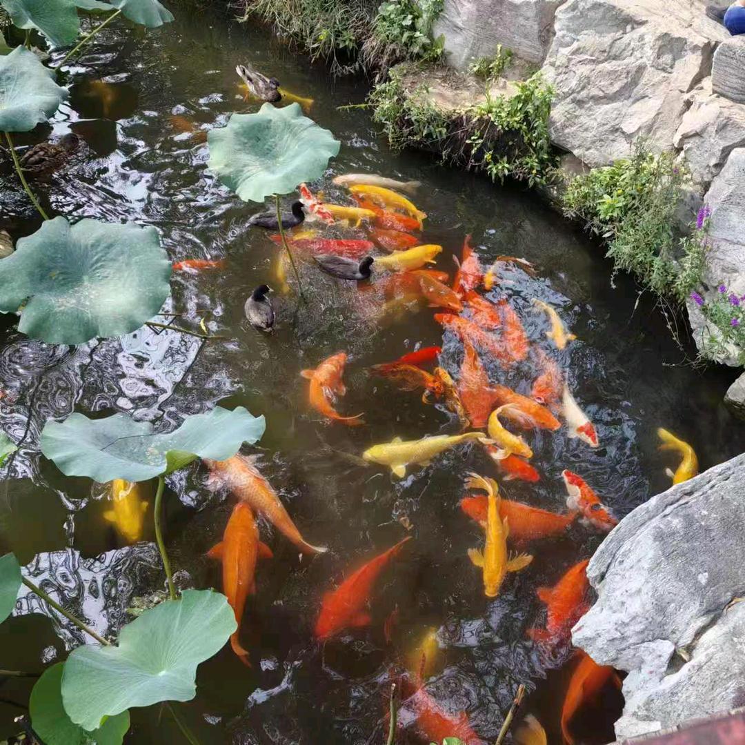 陪读妈妈好无语