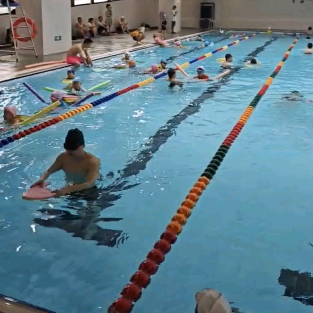 游泳经理🇨🇳小石