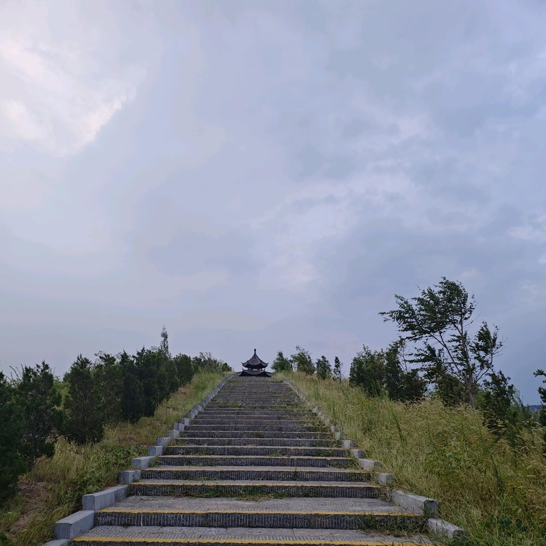 爱抠脚丫子