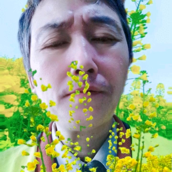 得意楼我的家