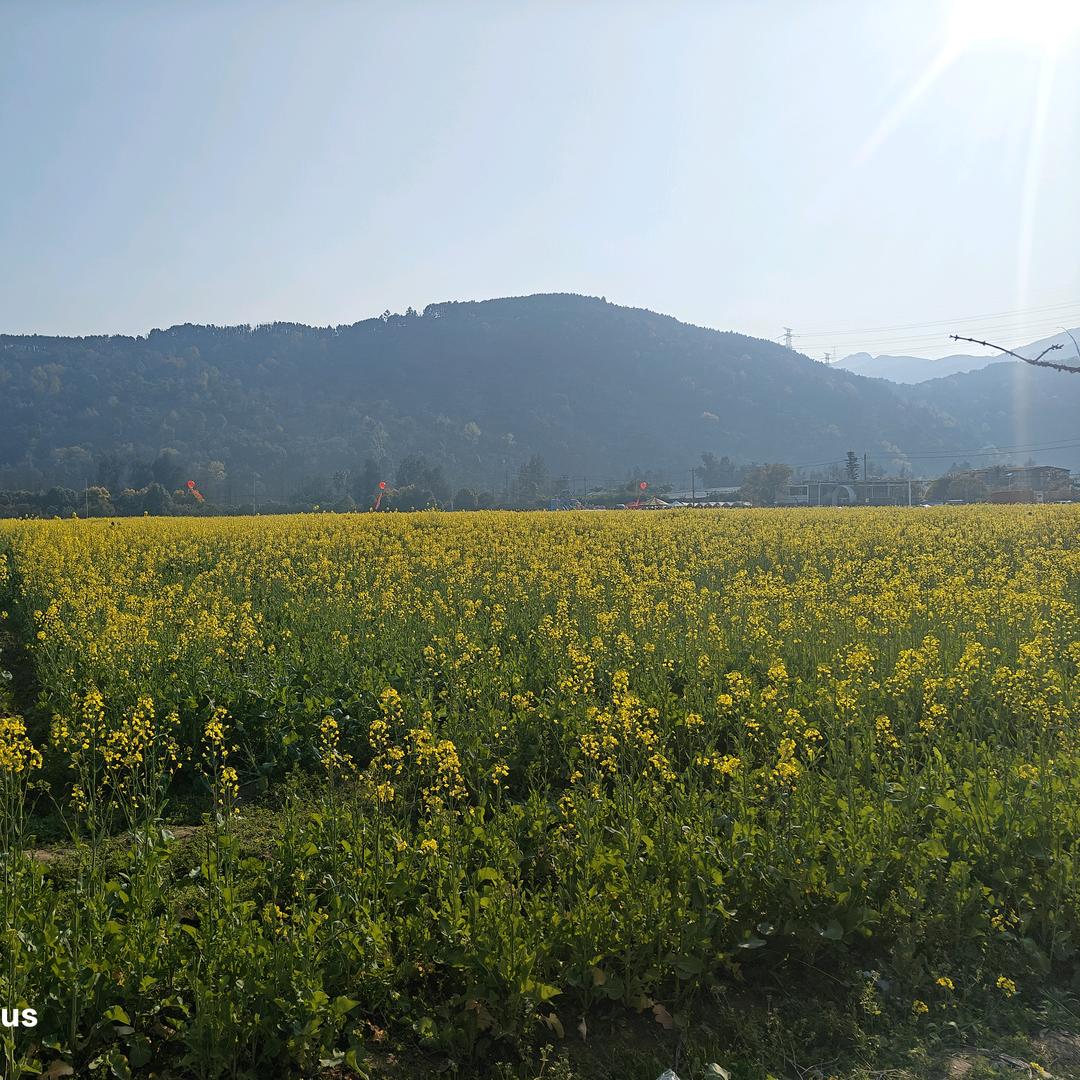 🌈好运连连，万事皆如意，