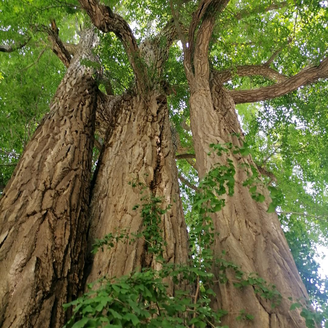 每天都是卷肉肉嘿嘿😀