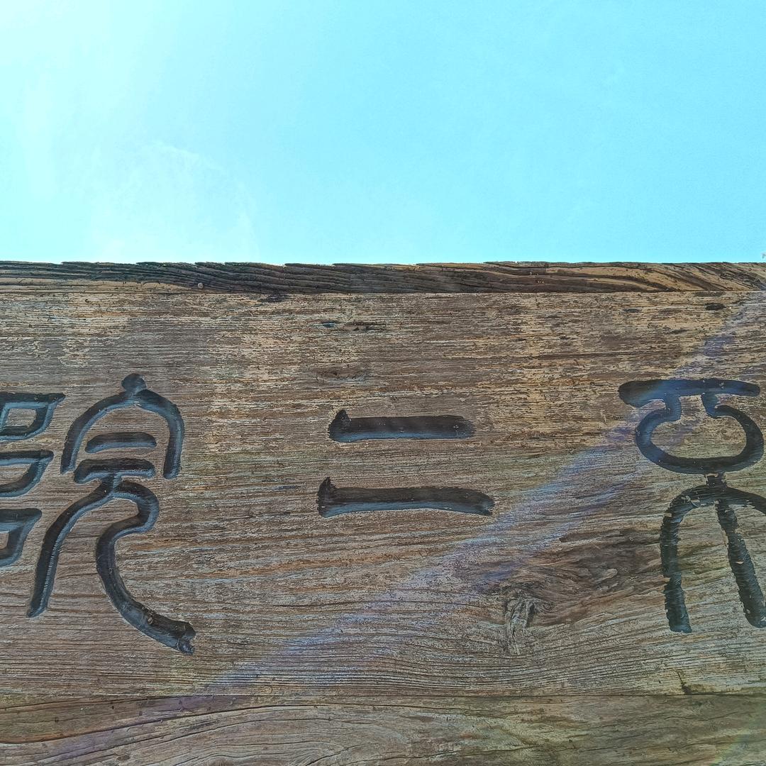 青柑炖普洱