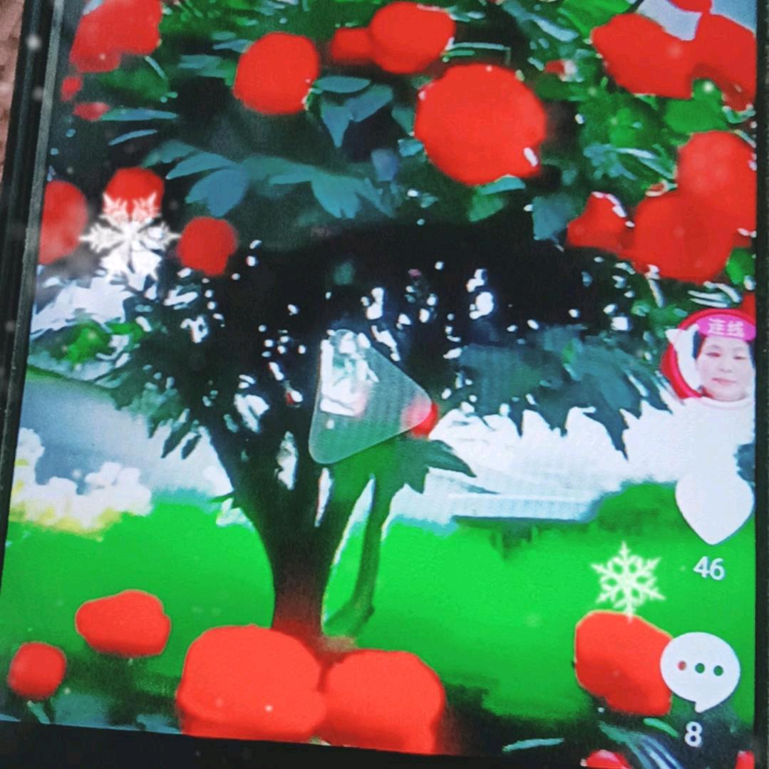 幸福快乐