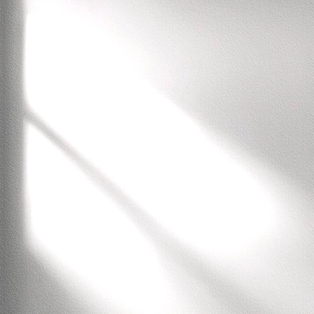 真是一个笨蛋呀