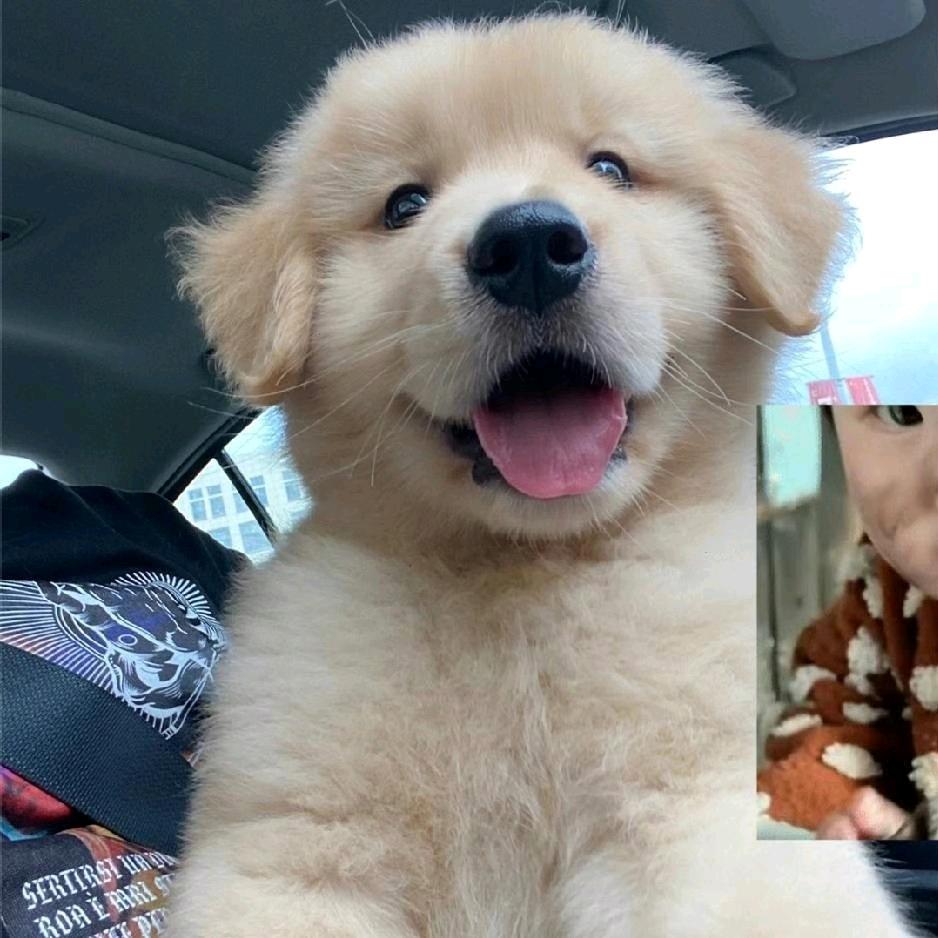 。。。。。，，，