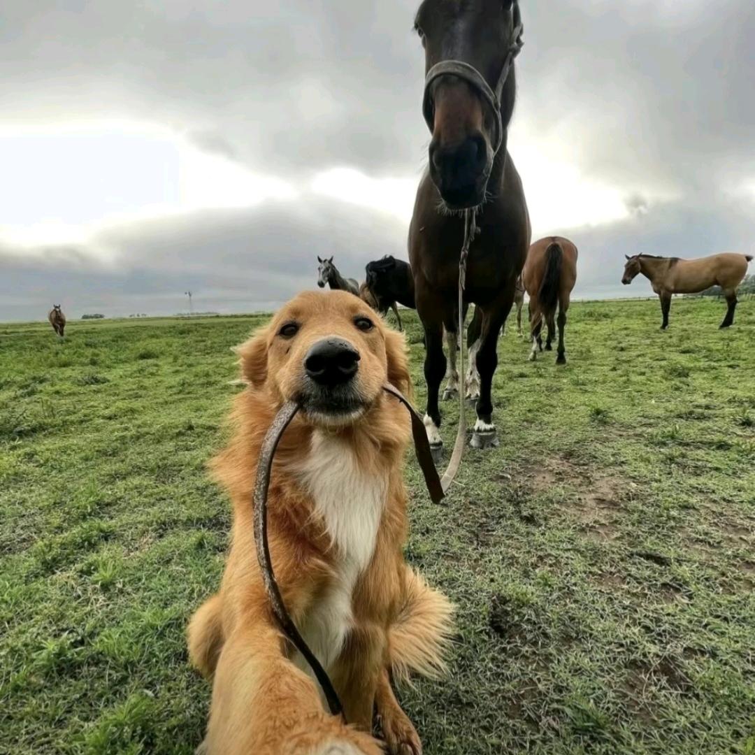 小丸纸也有爱情