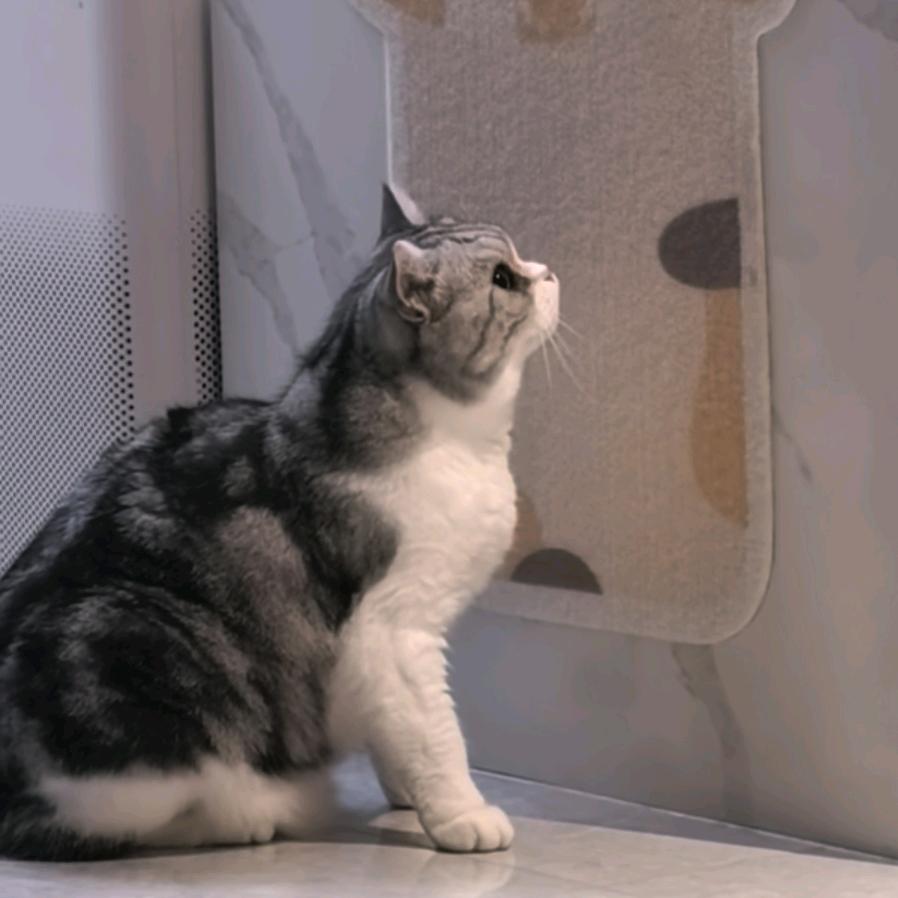 a·*･:.｡.索有人.｡.:･*·