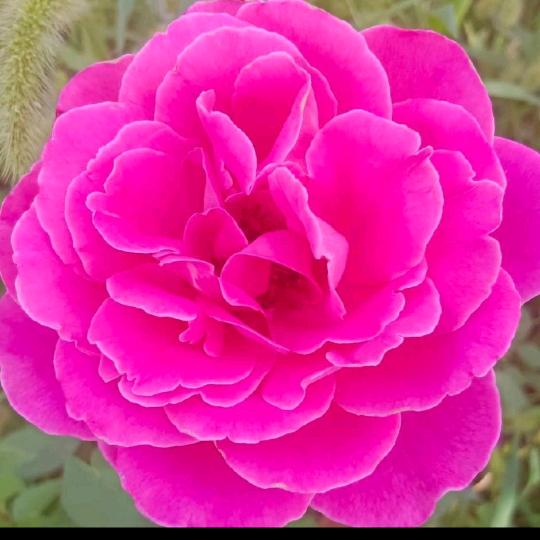 💖💞最美时光💖💞