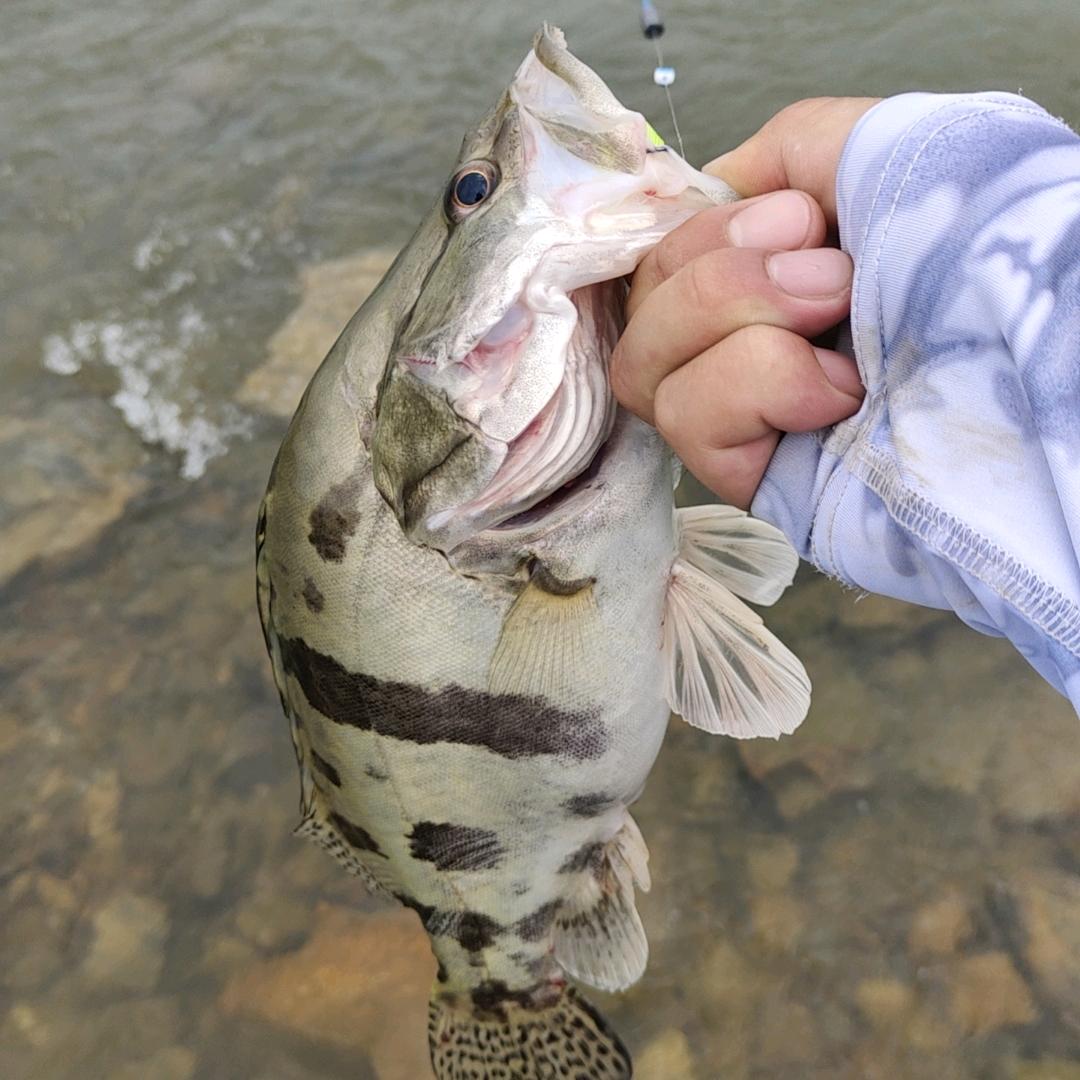 人生路远（路亚）