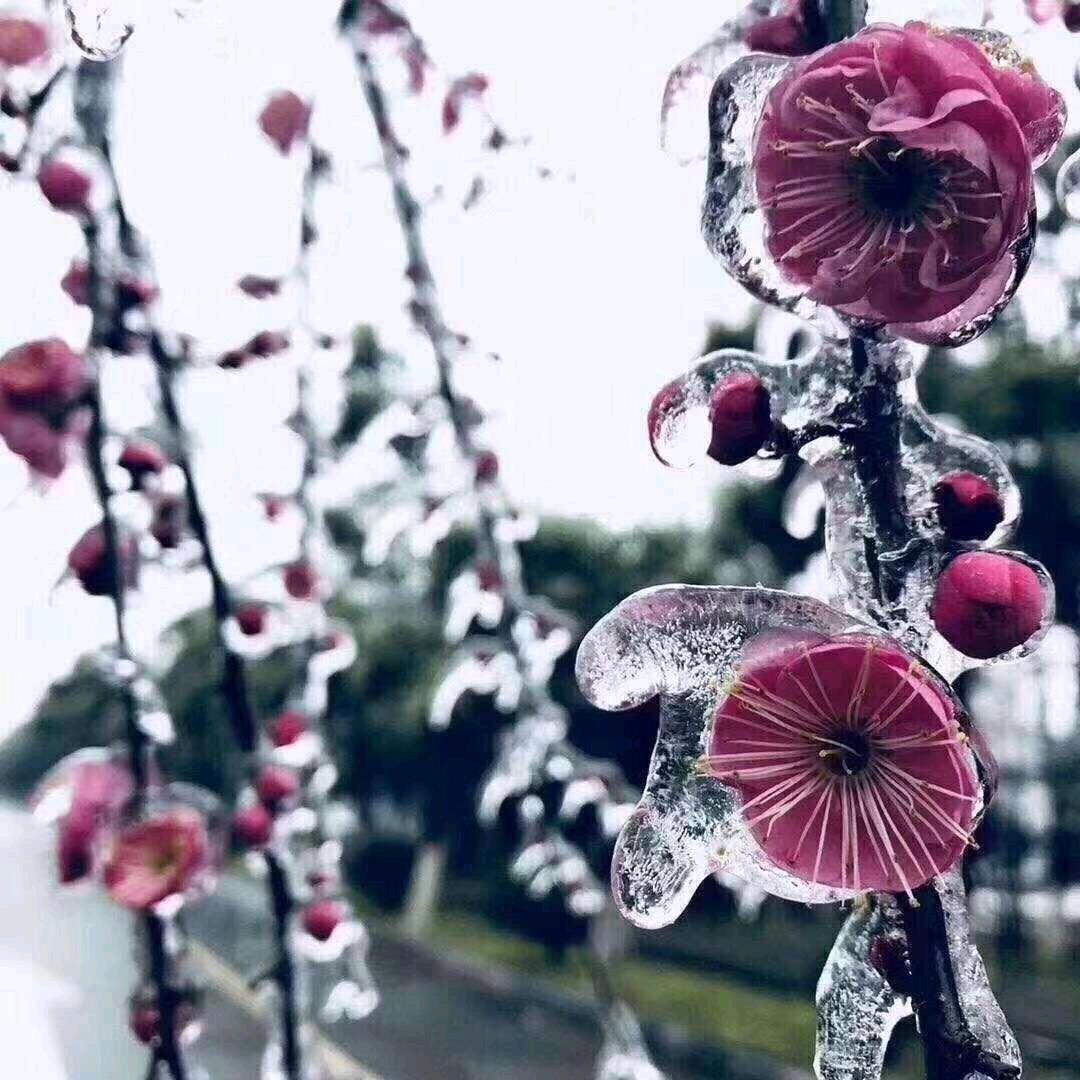 姚姚