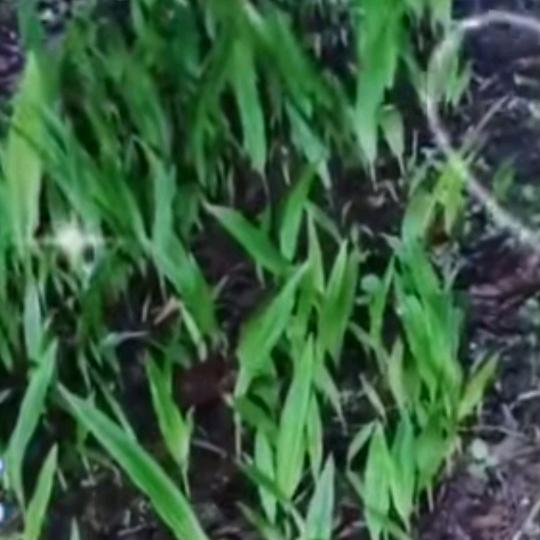 贵州🌹有💐你🌹就🍇有🍒我