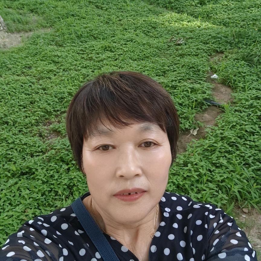 秦秦