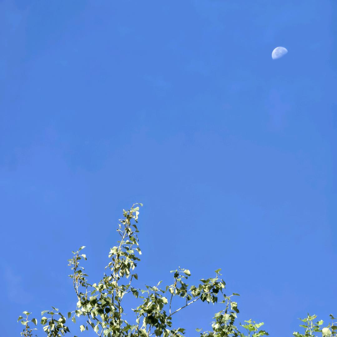 Amituofo