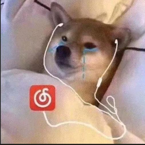 林北啊