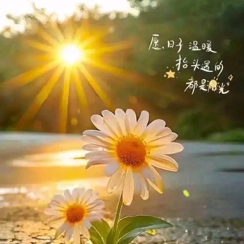 娟姐