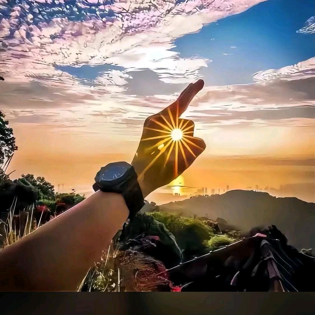 ®今晚炒鱿鱼®