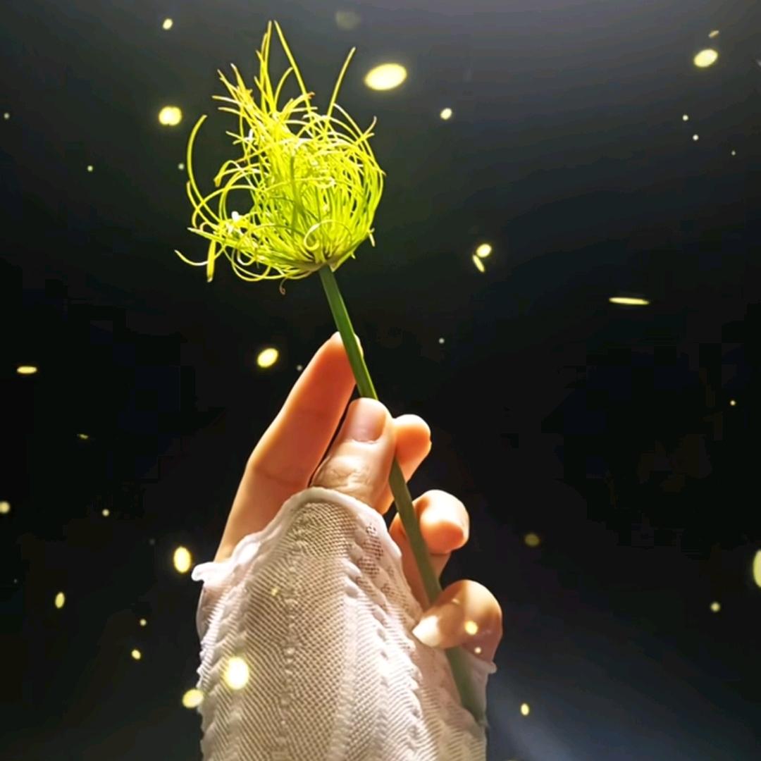 翠儿0320