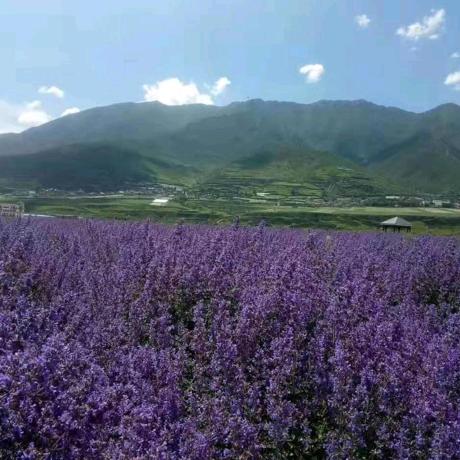 沉默💔相💘信💘自💘己💔