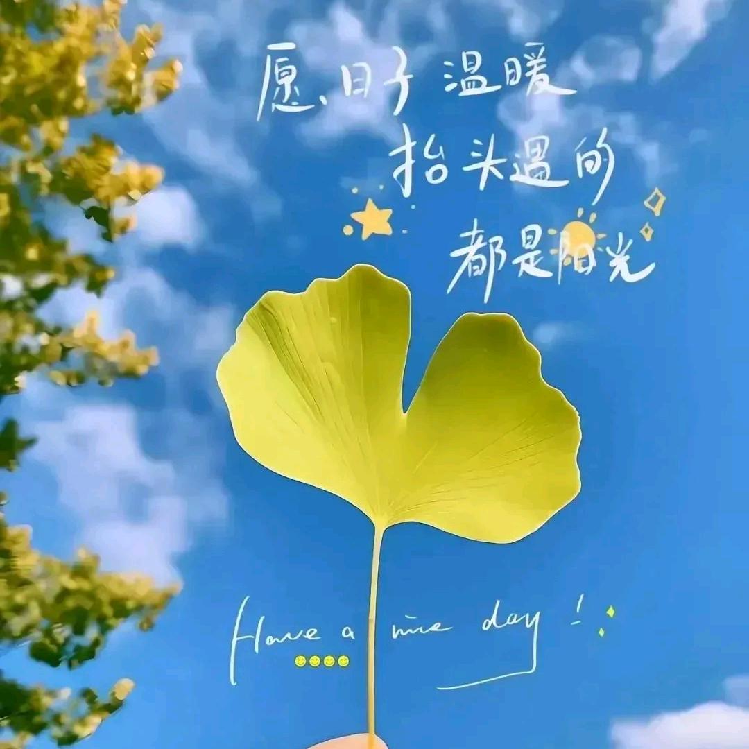 小幸运🌸