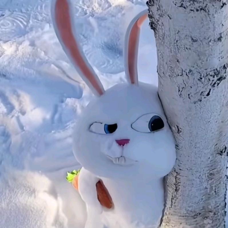 是猫吖