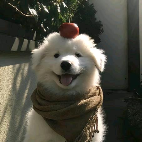 空间直角坐标系.