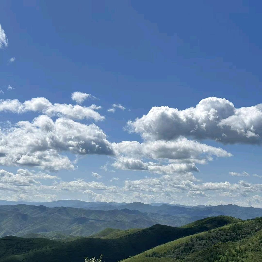秋名山车胎