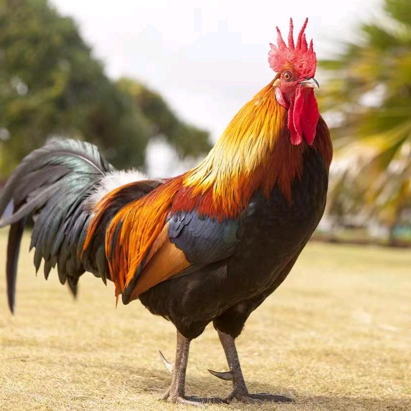 八公山区好味源