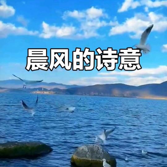 ℳ㎕晨🍂风᭄