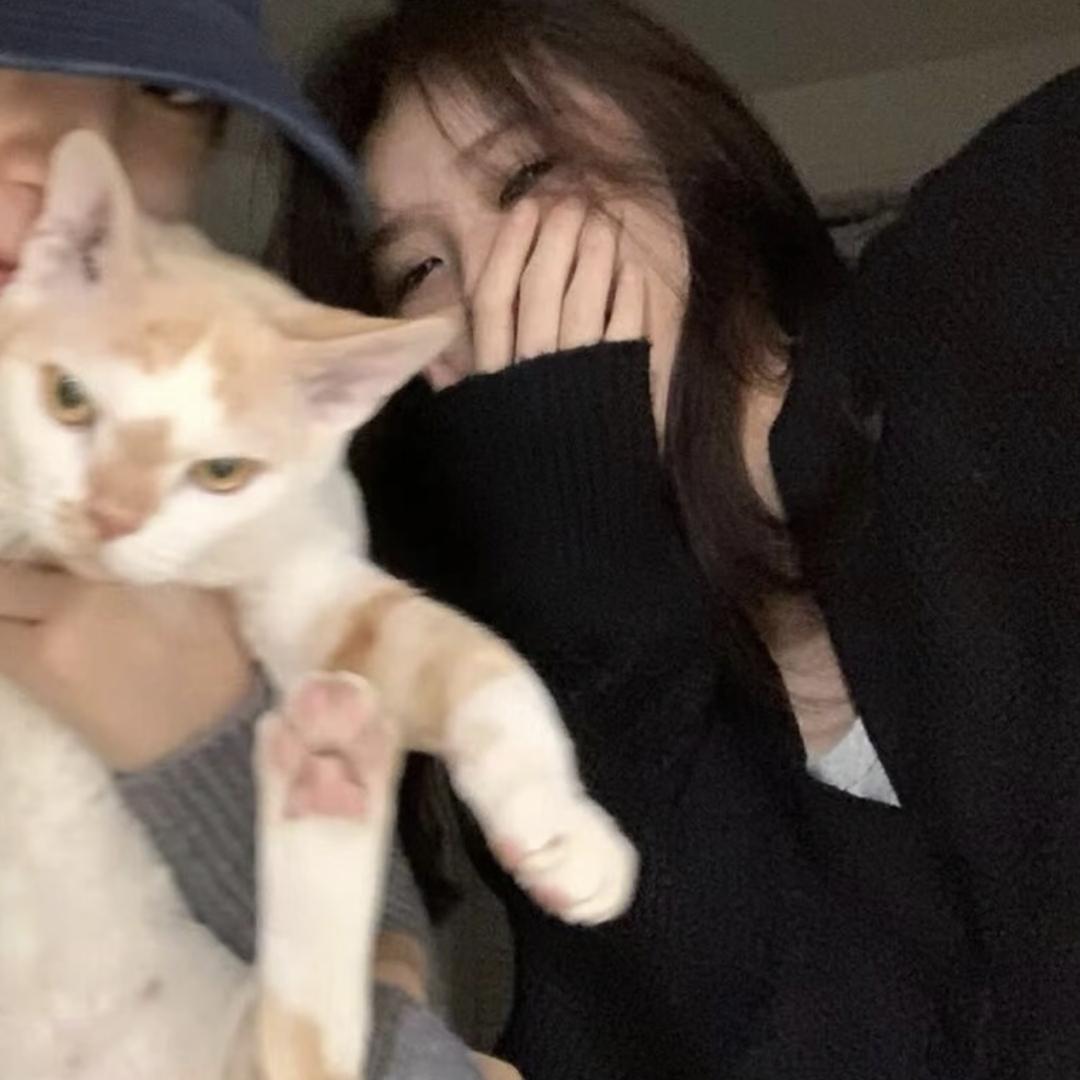 丹三.