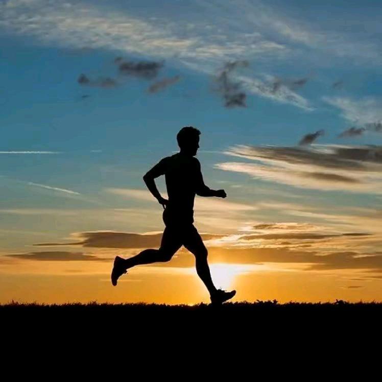 大树₄₂.₁₉₅