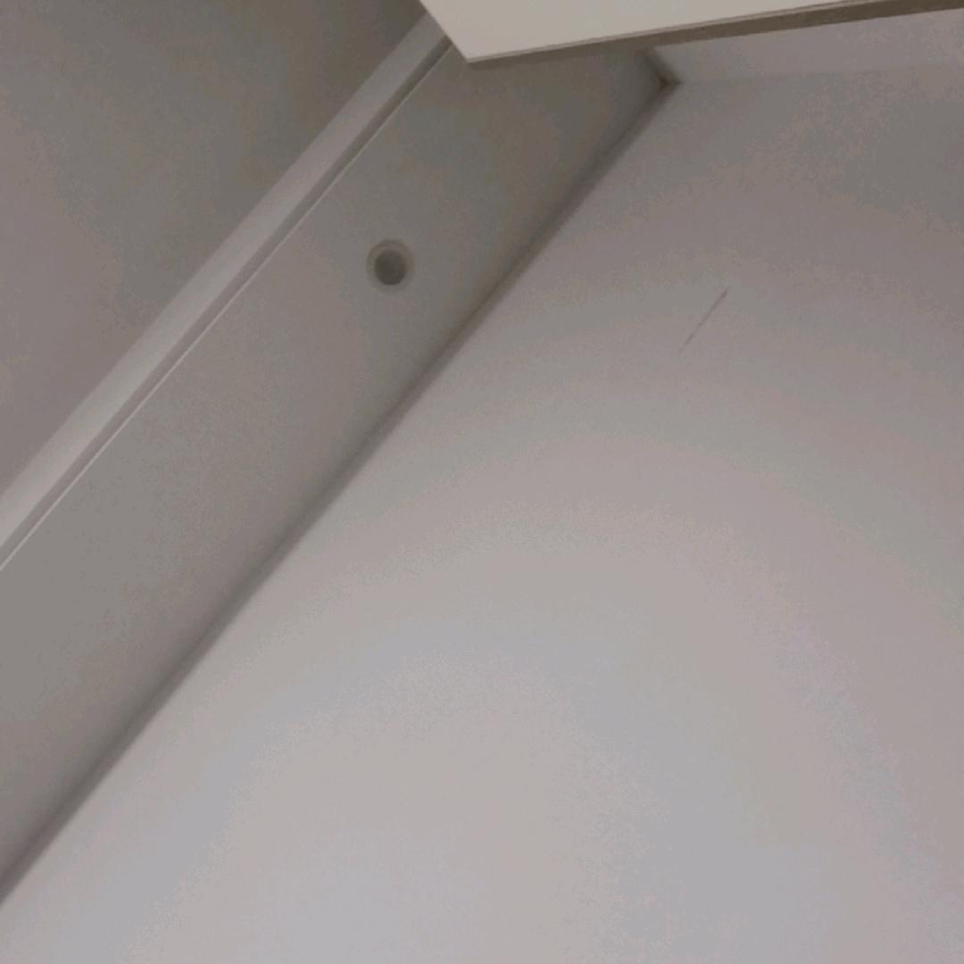 樱桃🍒