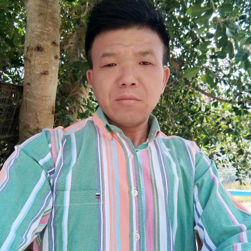 命苦坚强《劉）