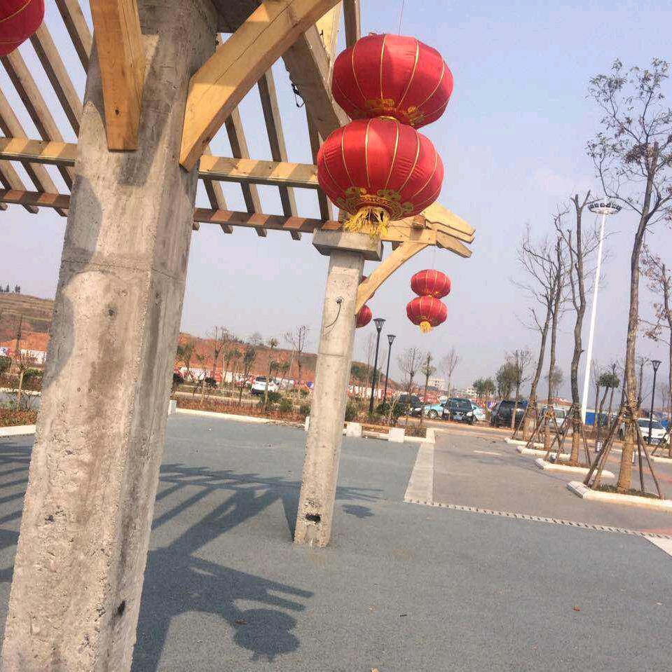 过好每一天