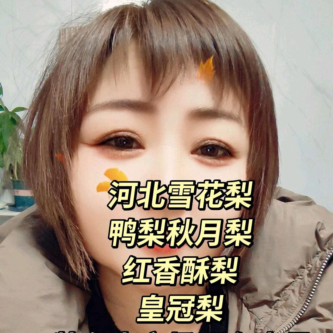 赵县梨代办果大姐