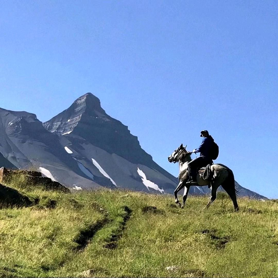 青山⛰️