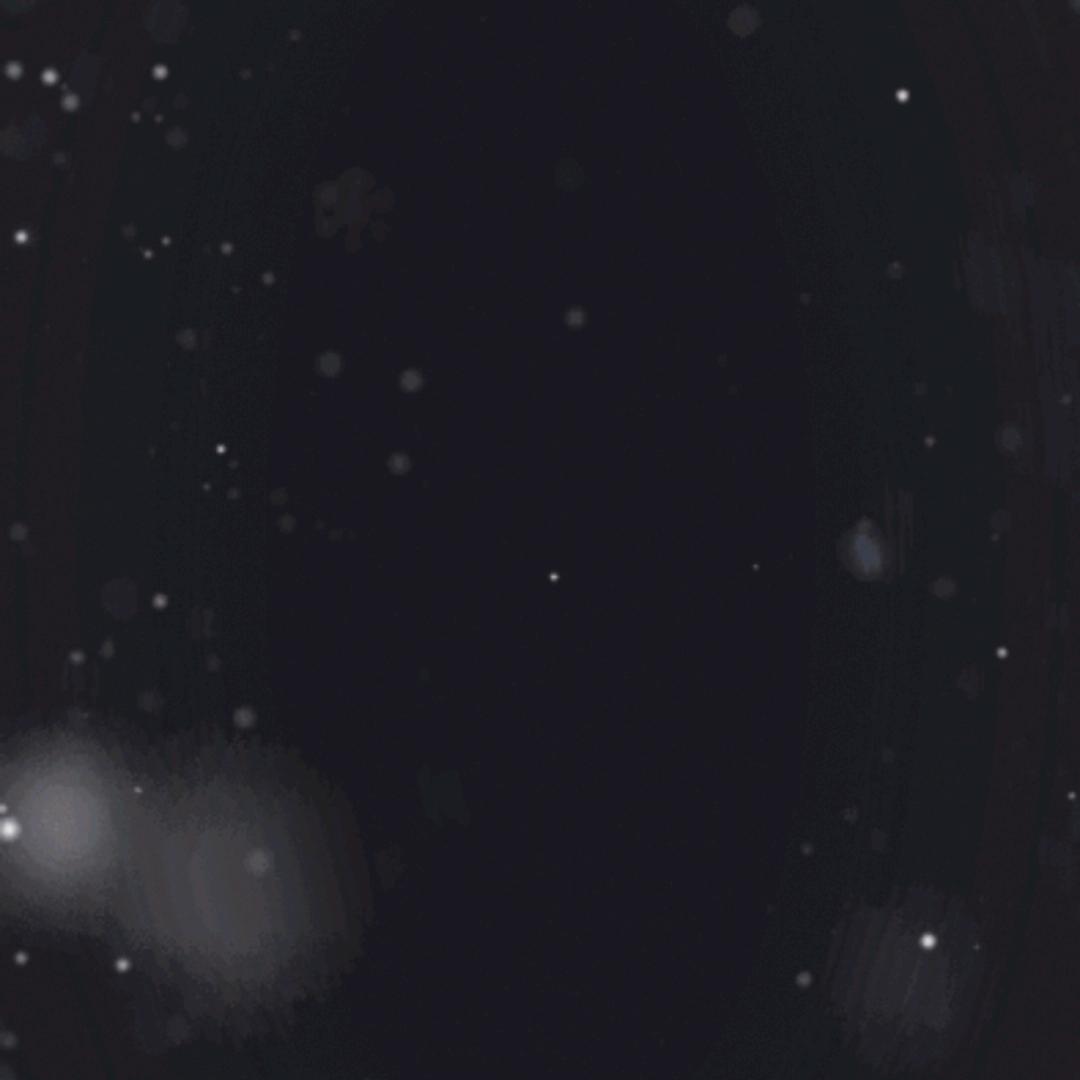 刷子哥