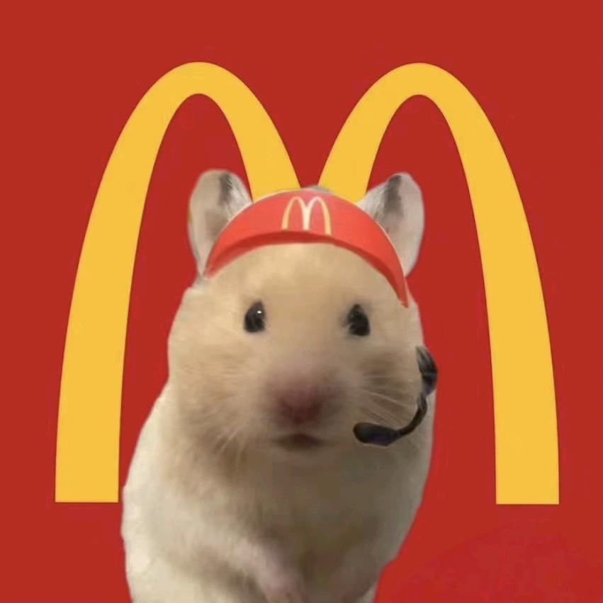 🍟麦小雨