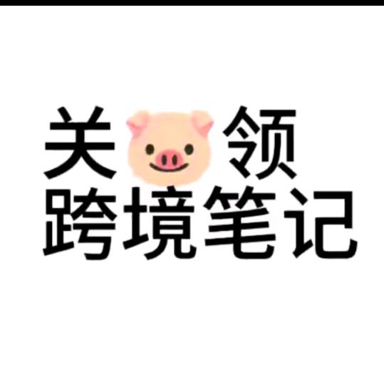 🌈阿宸Tw-shopee