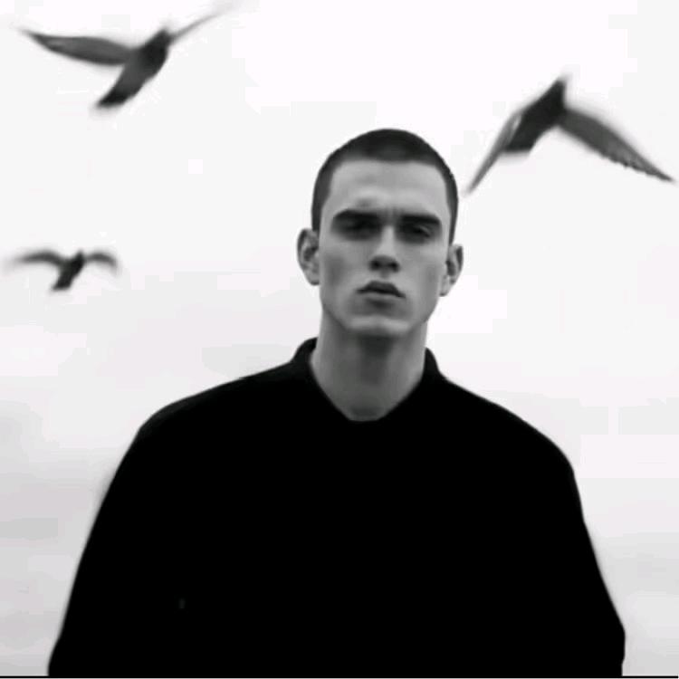 Z H R