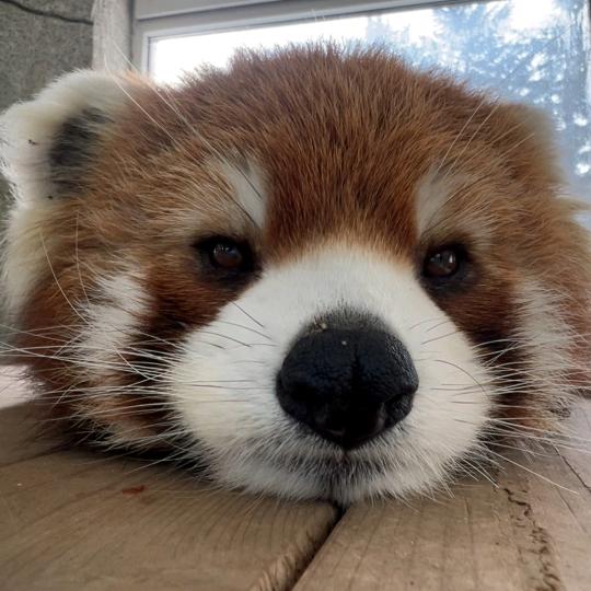 我给你笑一个总行了吧