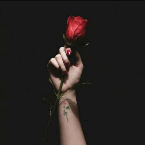 🧚‍♂️化茧🦋成蝶🦋